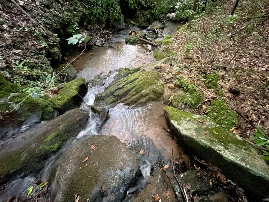 64 Kristen Lane, Ellijay, GA 30540 - #3