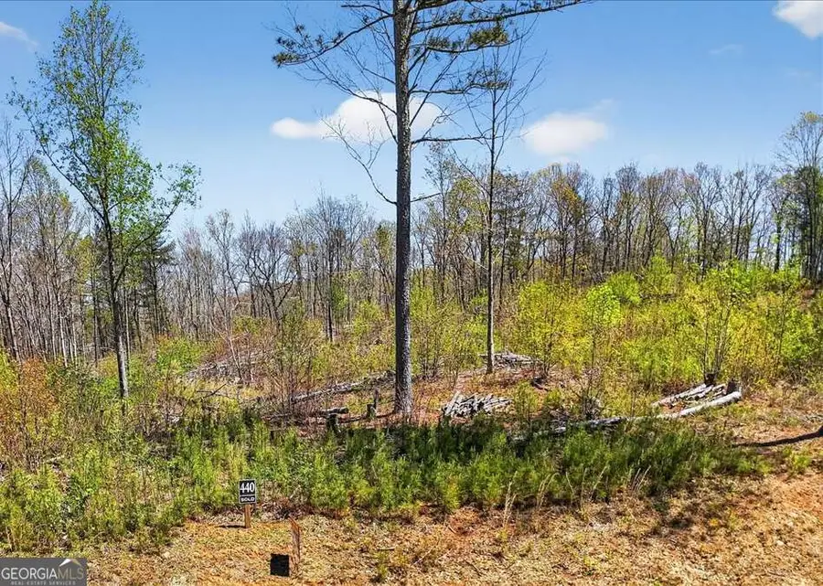 0 Twisted Oak Road #LOT 440, Talking Rock, GA 30175 - #2