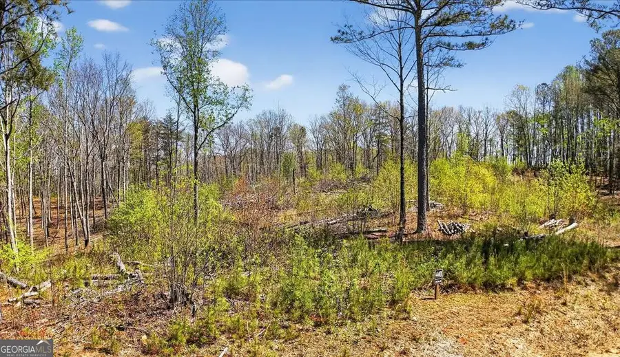 0 Twisted Oak Road #LOT 440, Talking Rock, GA 30175 - #3