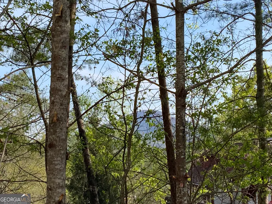 39B Sportarten Strasse, Helen, GA 30545 - #3