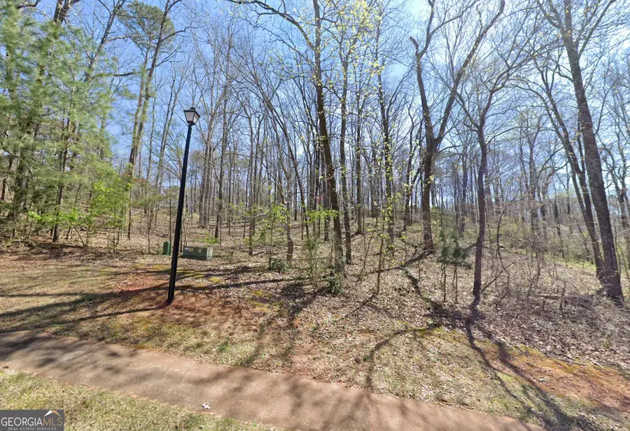 104 Hidden Branches Lane, Lagrange, GA 30240 - #2