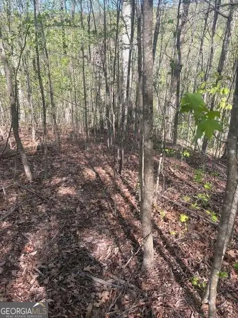 0 Heatherwood Way, Talking Rock, GA 30175 - #1