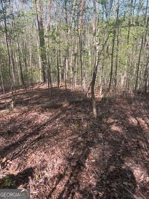 0 Heatherwood Way, Talking Rock, GA 30175 - #2