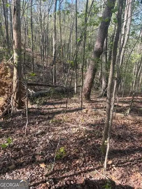 0 Heatherwood Way, Talking Rock, GA 30175 - #3