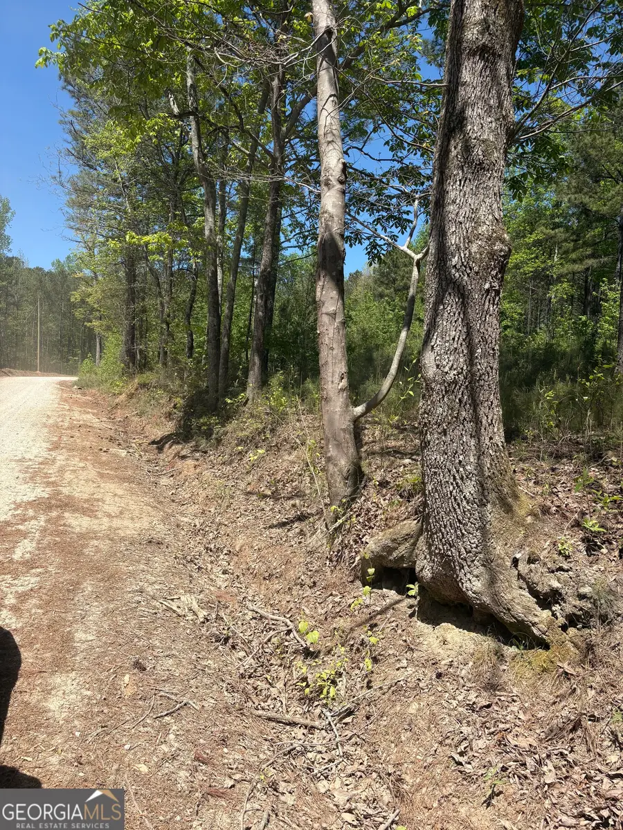 7500 Tyree Road, Winston, GA 30187 - #2