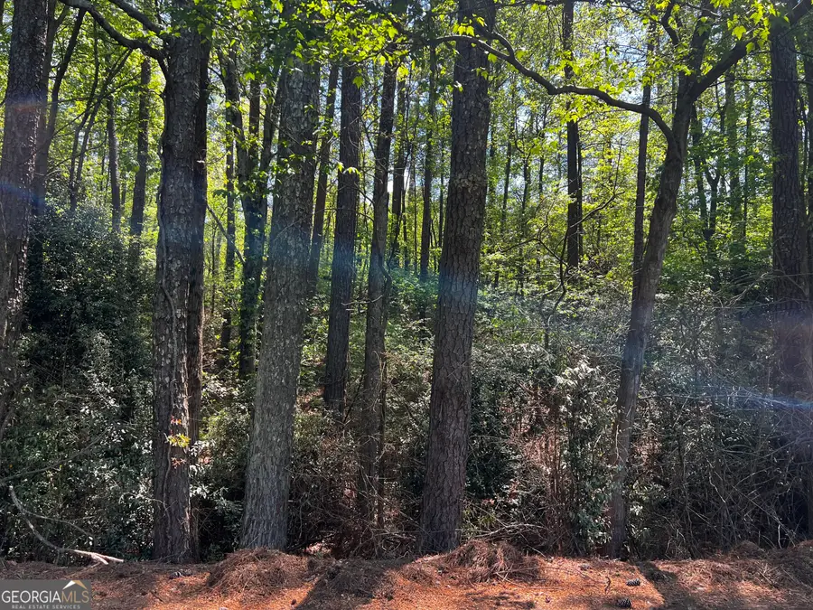 0 Wayside Road, Rome, GA 30161 - #2