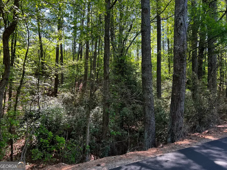 0 Wayside Road, Rome, GA 30161 - #3