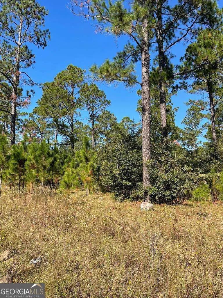 0 Hwy 292, Vidalia, GA 30474 - #2