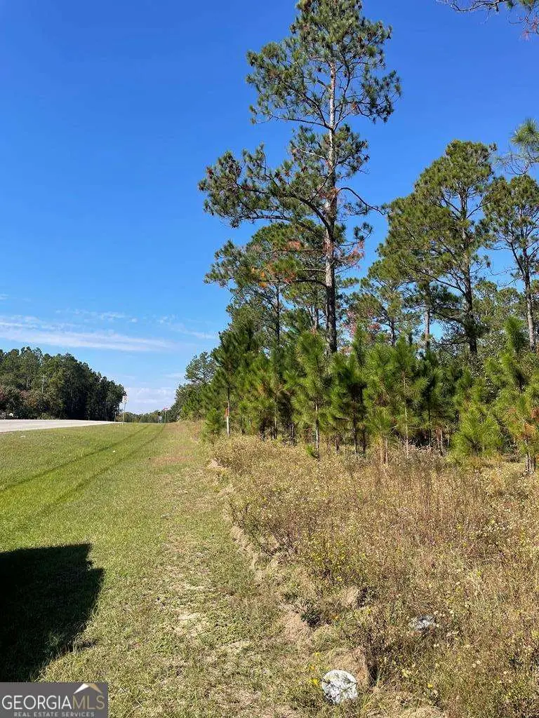 0 Hwy 292, Vidalia, GA 30474 - #3