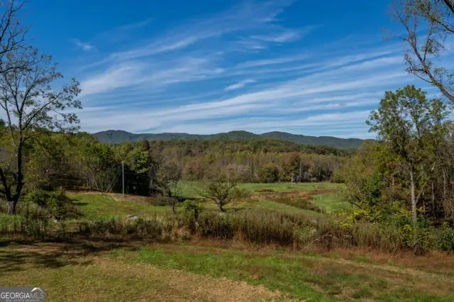 7590 Mobile Road, Blue Ridge, GA 30513 - #1