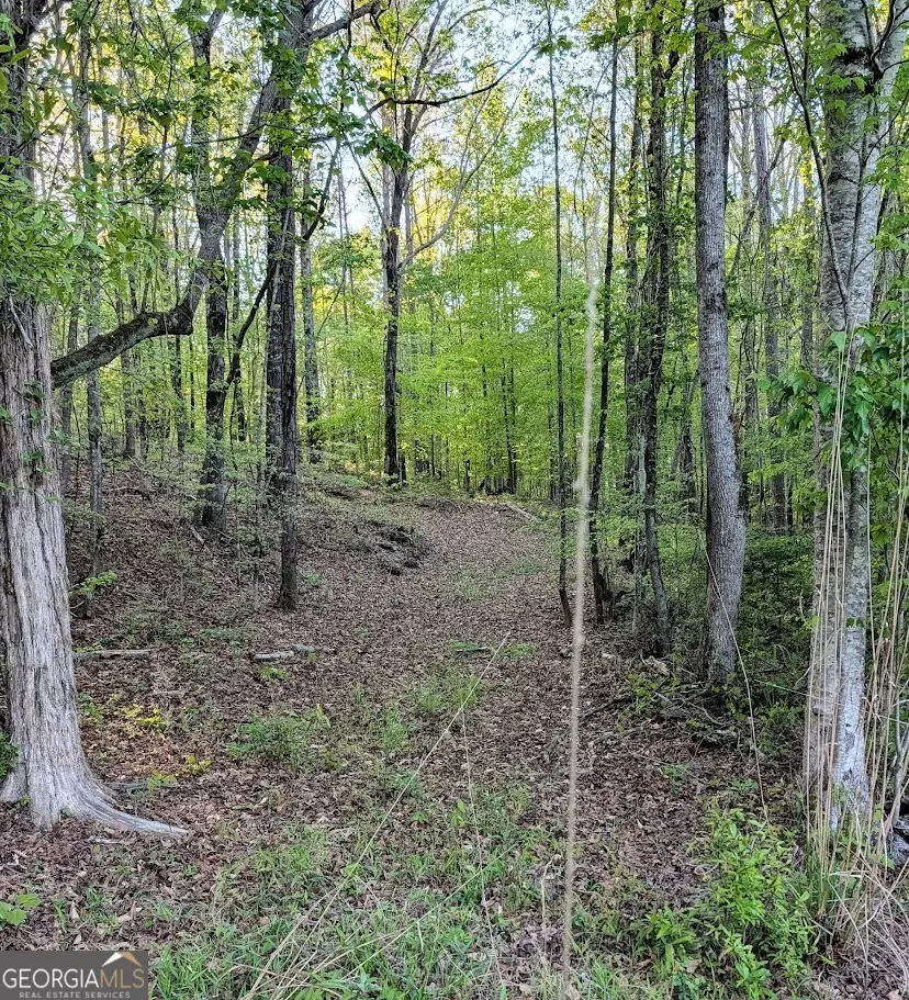 0 Ga Hwy 116, Hamilton, GA 31811 - #1