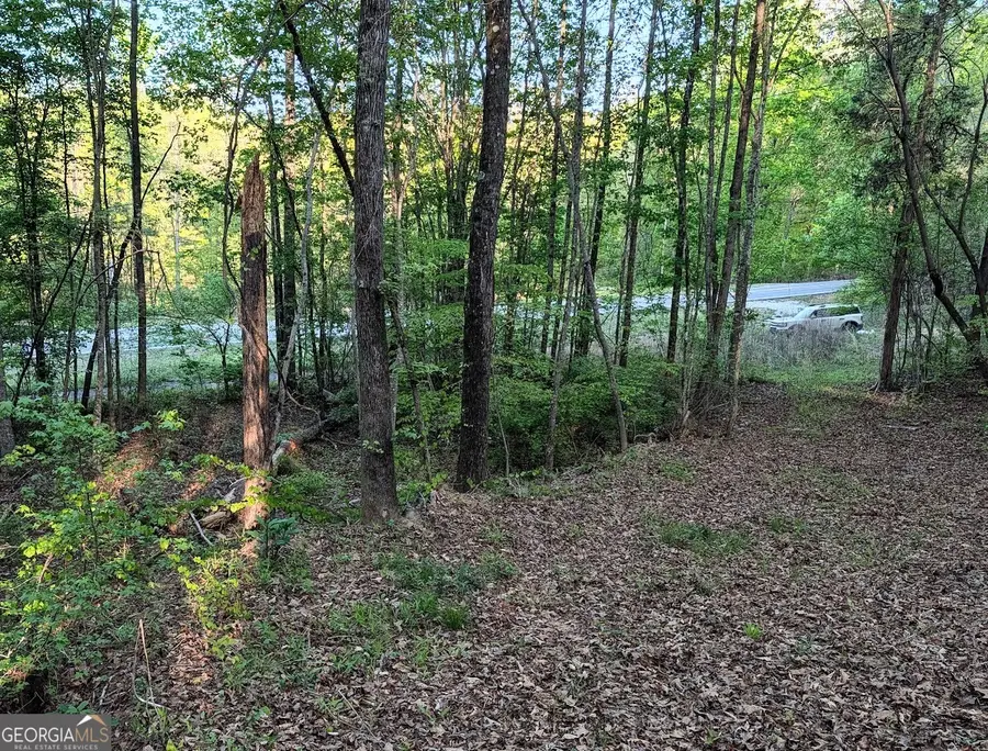 0 Ga Hwy 116, Hamilton, GA 31811 - #2