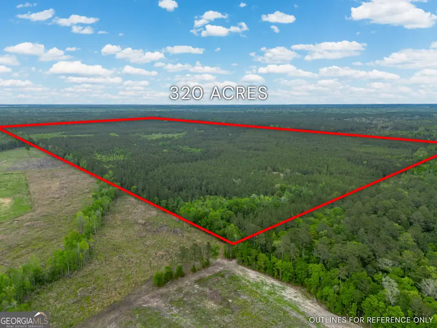 0 Highway 129, Abbeville, GA 31001 - #2