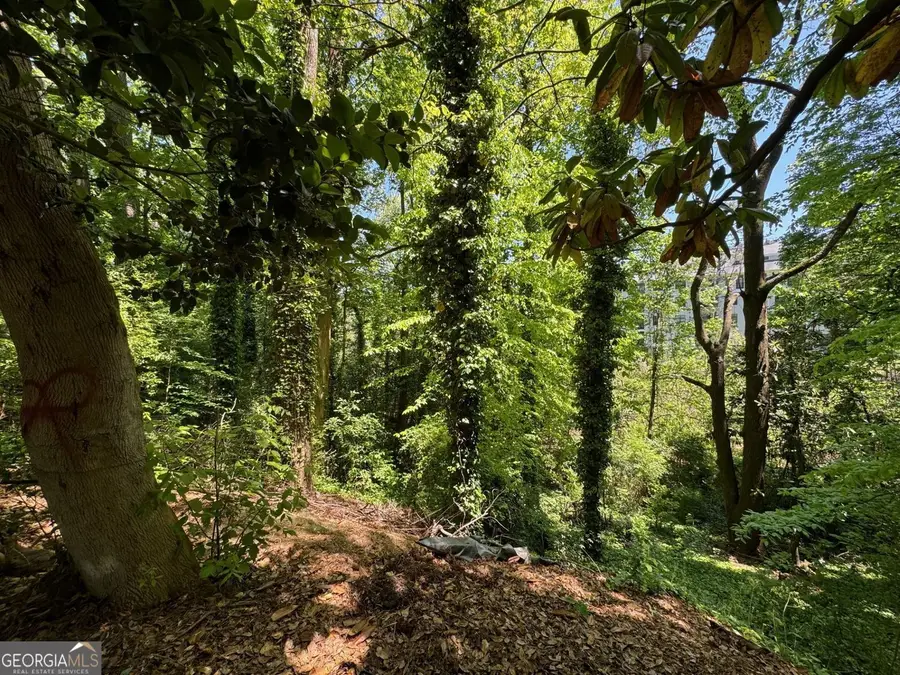 1285 Cumberland Road Ne, Atlanta, GA 30306 - #3