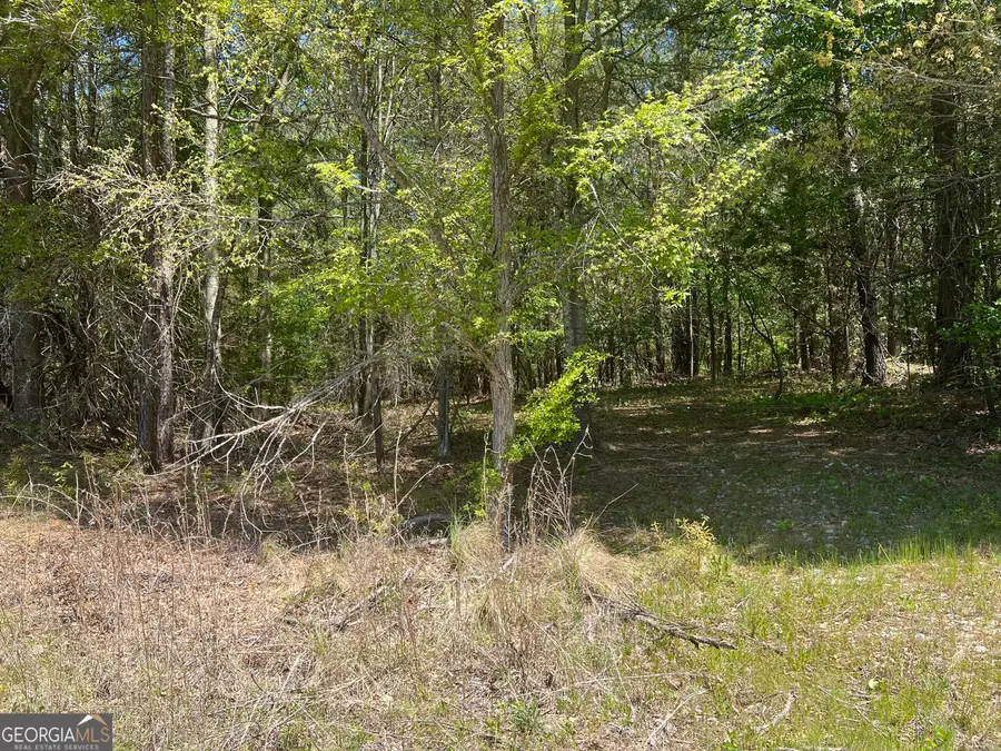 0 Plainview Road, Maysville, GA 30558 - #2