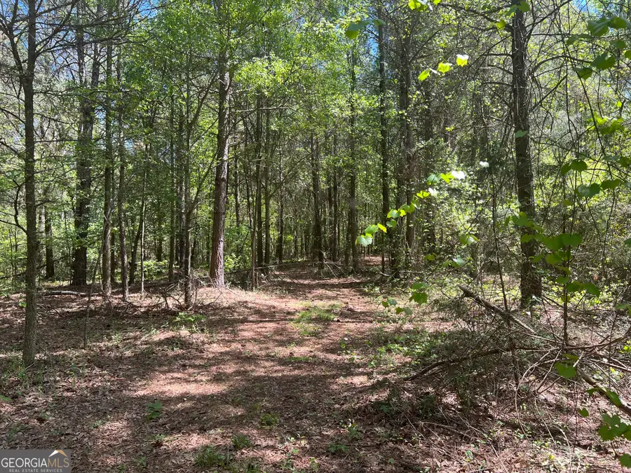 0 Plainview Road, Maysville, GA 30558 - #3