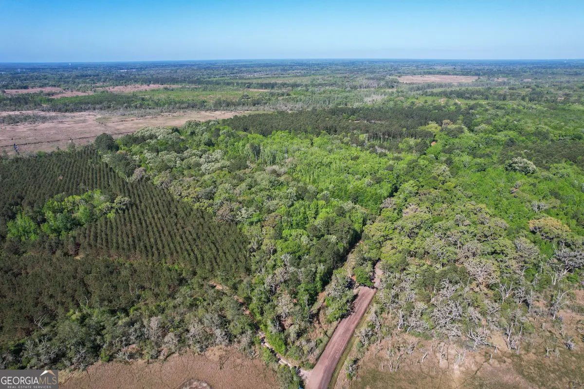 0 Cay Creek Road, Midway, GA 31320 - #1