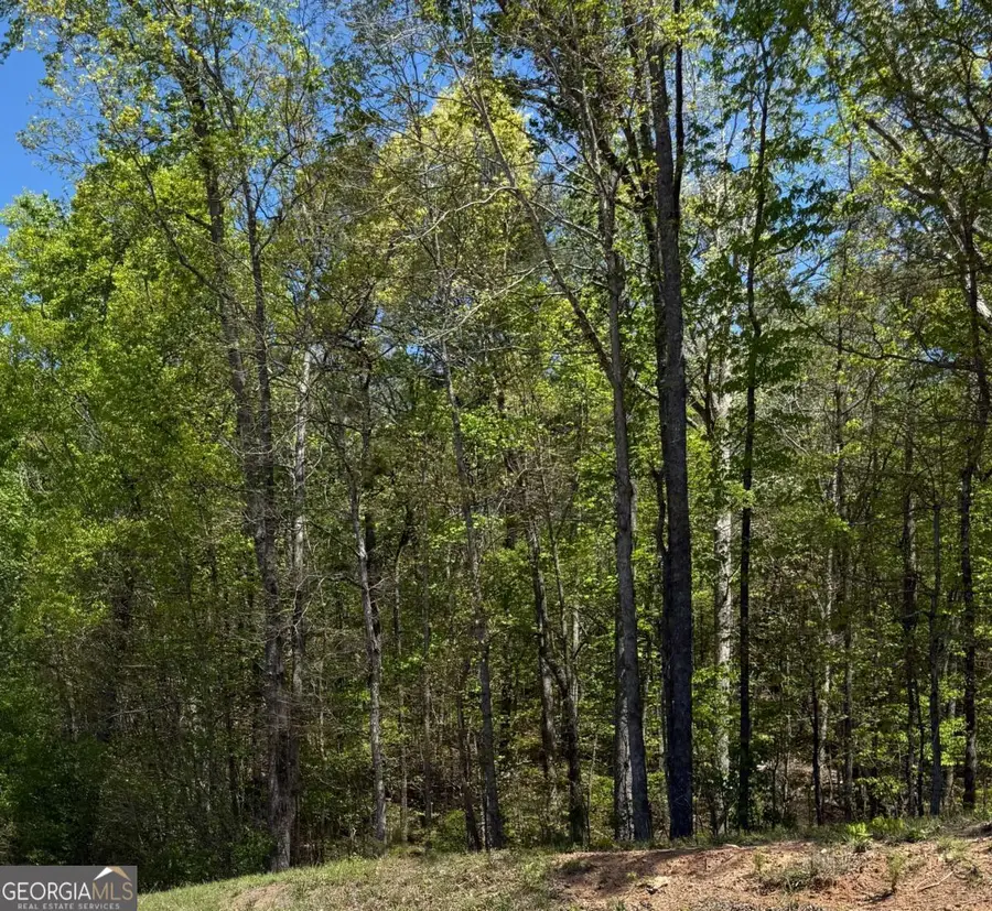 0 Us Hwy 27, Bremen, GA 30110 - #3