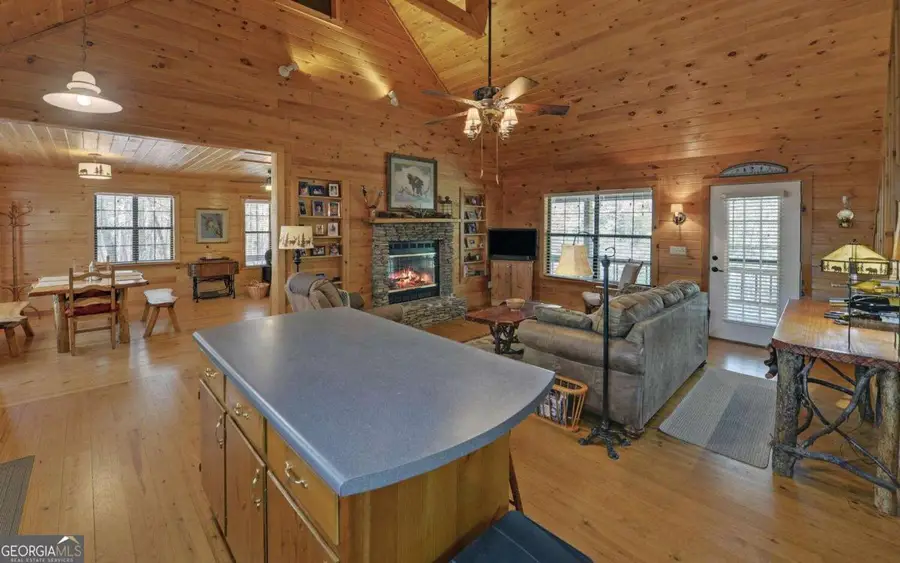 380 Bear Foot Drive, Blue Ridge, GA 30513 - #3