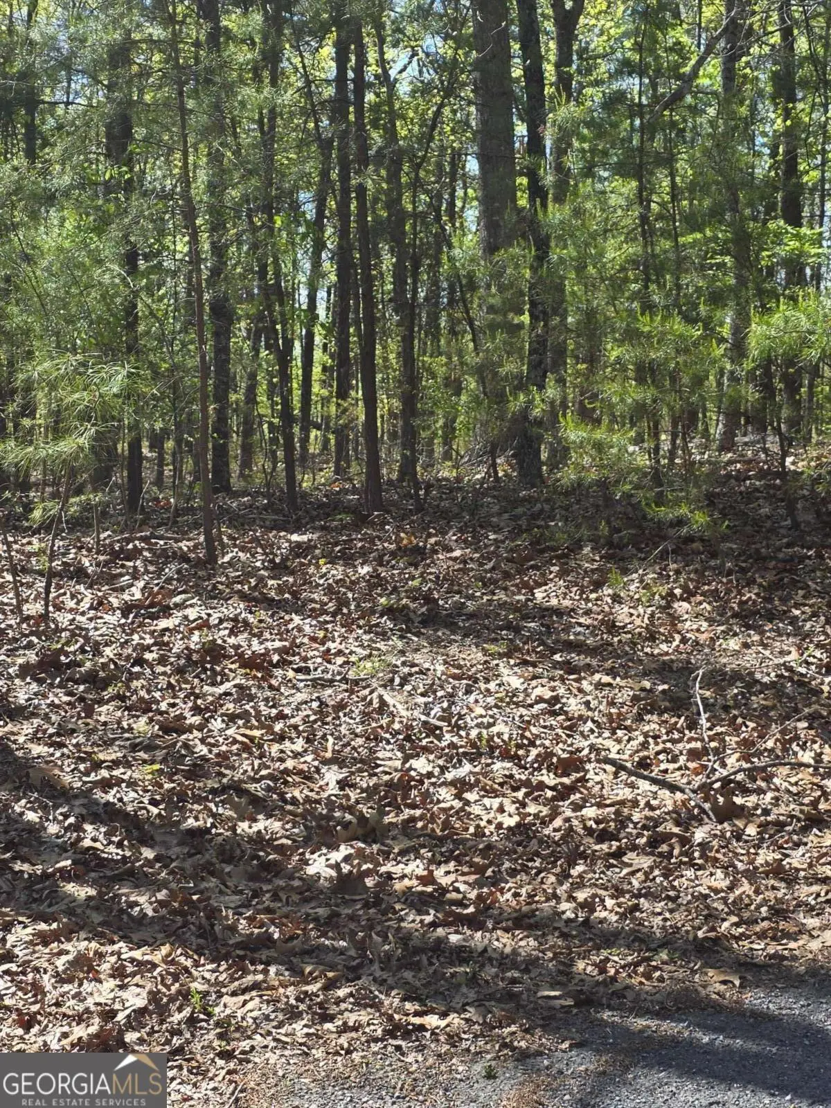 1354 Hunter Drive, Ranger, GA 30734 - #1