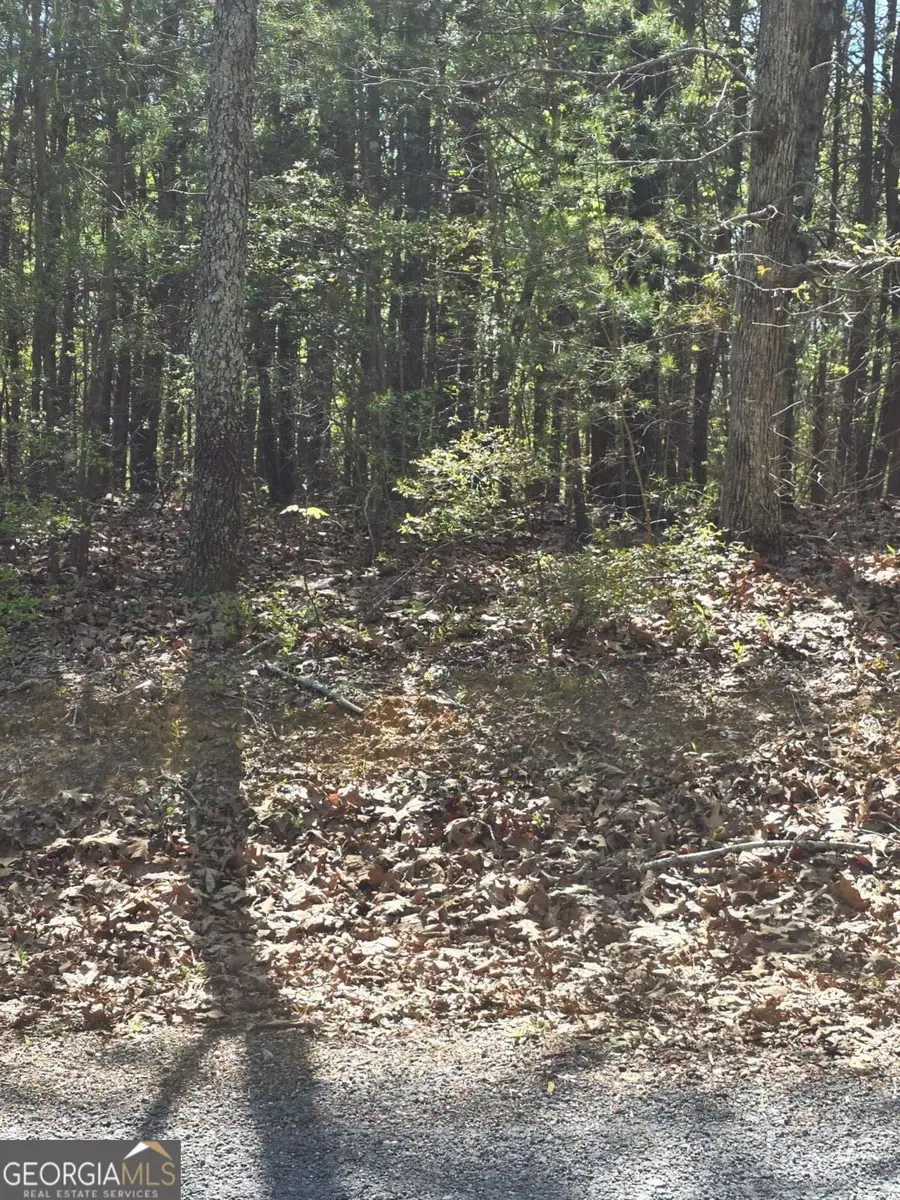 1354 Hunter Drive, Ranger, GA 30734 - #2