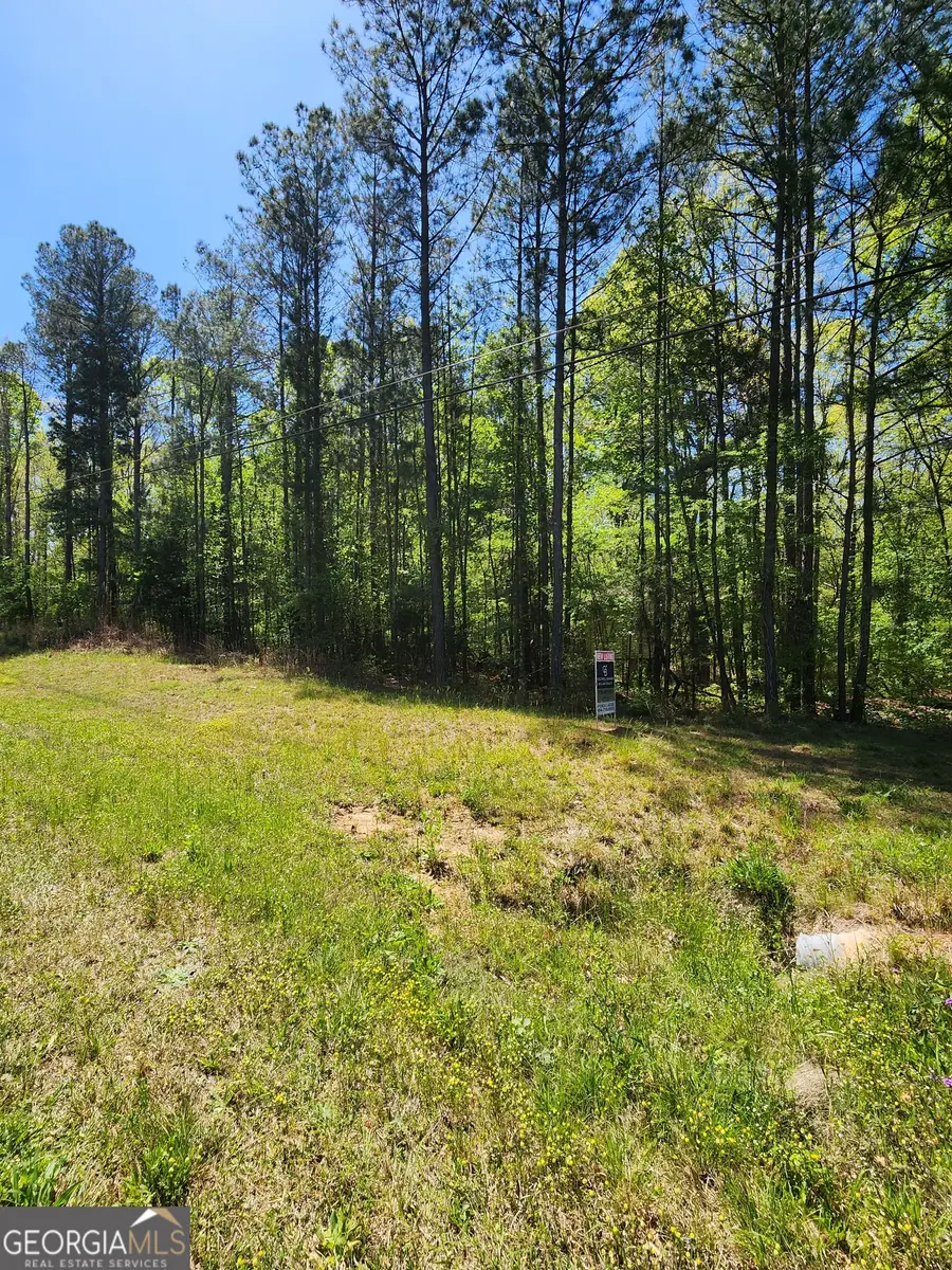 674 Lower River Road, Covington, GA 30016 - #2