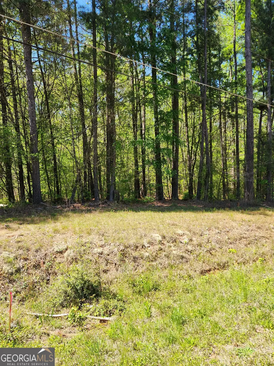 674 Lower River Road, Covington, GA 30016 - #3