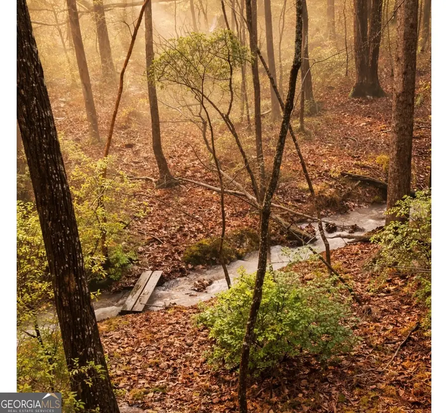 220 Wake Robin, Big Canoe, GA 30143 - #3