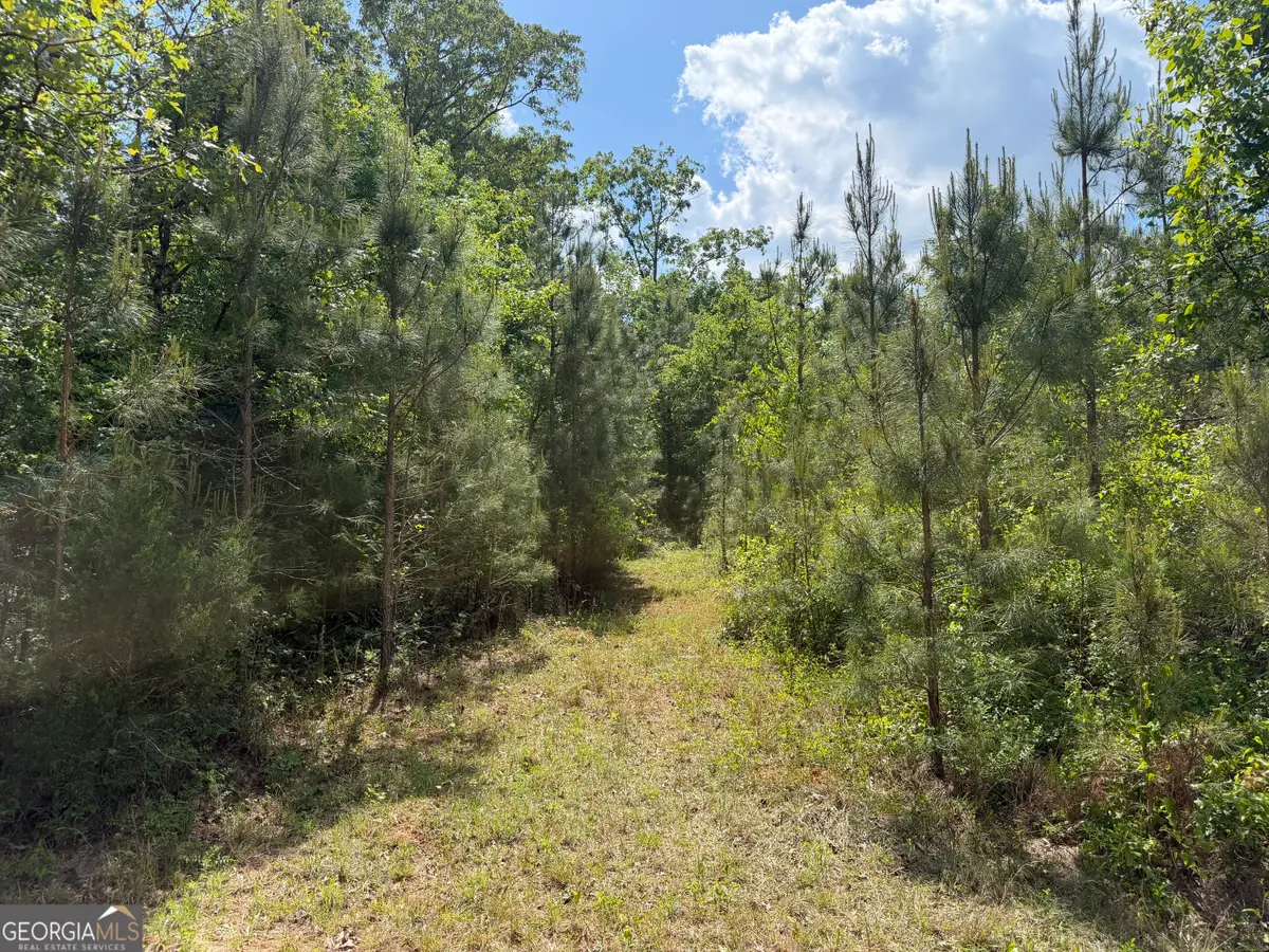 04 George Milling Road, Cuthbert, GA 39840 - #1