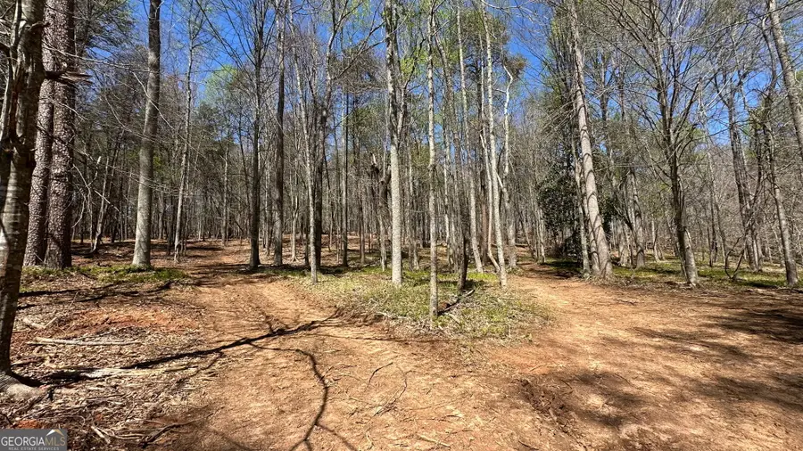 200 Annandale Drive, Clarkesville, GA 30523 - #2