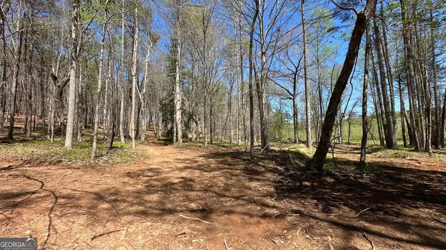 200 Annandale Drive, Clarkesville, GA 30523 - #3