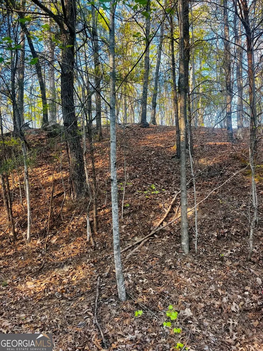 130 Lakeview Walk, Banks, GA 30511 - #3