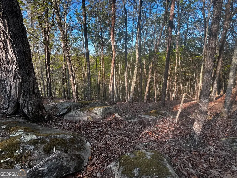 140 Lakeview Walk, Banks, GA 30511 - #2