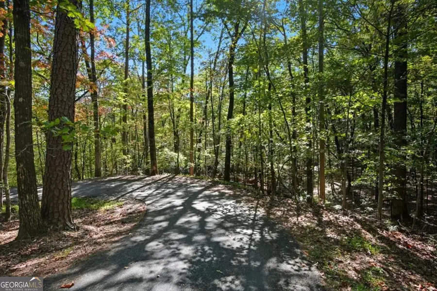 226 Wild Azalea Circle, Jasper, GA 30143 - #2