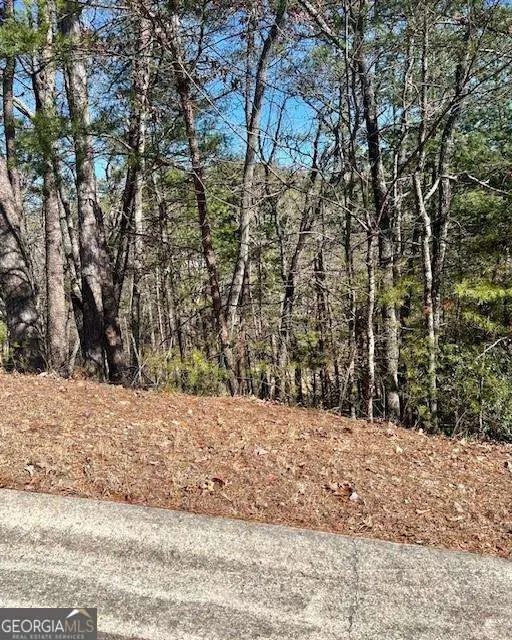 0 Rosen Strasse, Helen, GA 30545