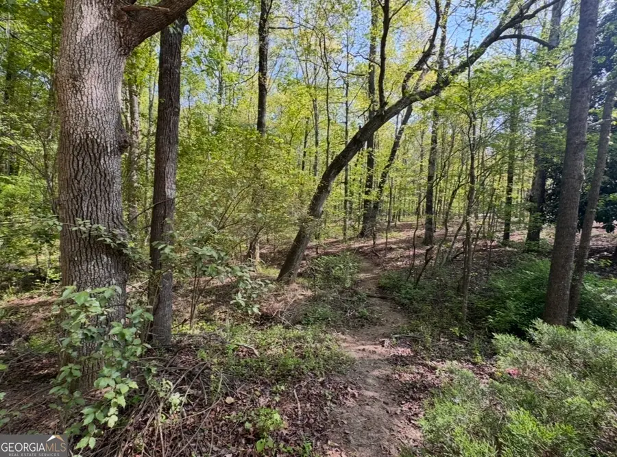 140 Emerald Lane, Fayetteville, GA 30214 - #2