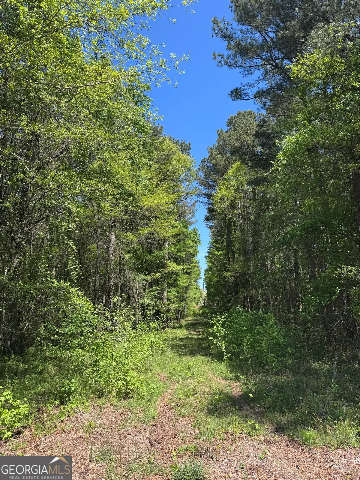 0 Roquemore Road #LOT 3, Athens, GA 30607 - #1