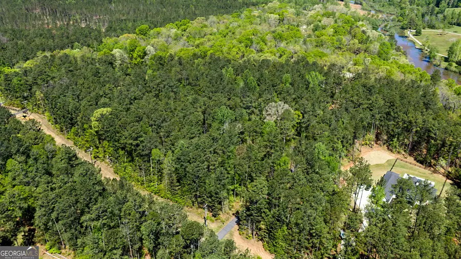 0 Deep South Road #2, Senoia, GA 30276 - #2