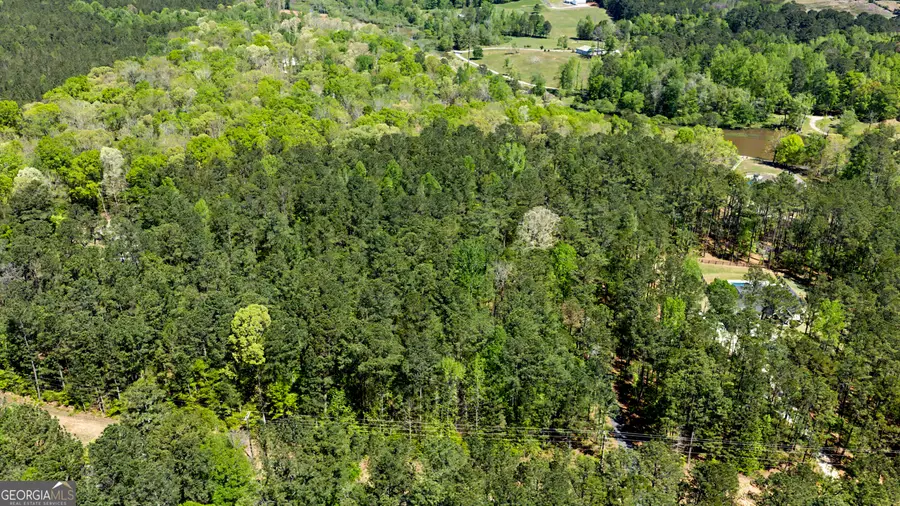 0 Deep South Road #2, Senoia, GA 30276 - #3