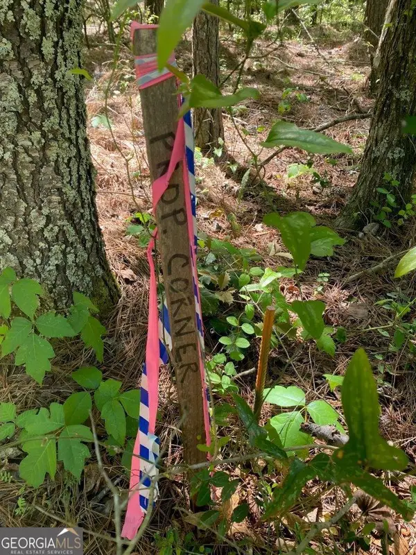 0 Maynards Mill Road, Forsyth, GA 31029