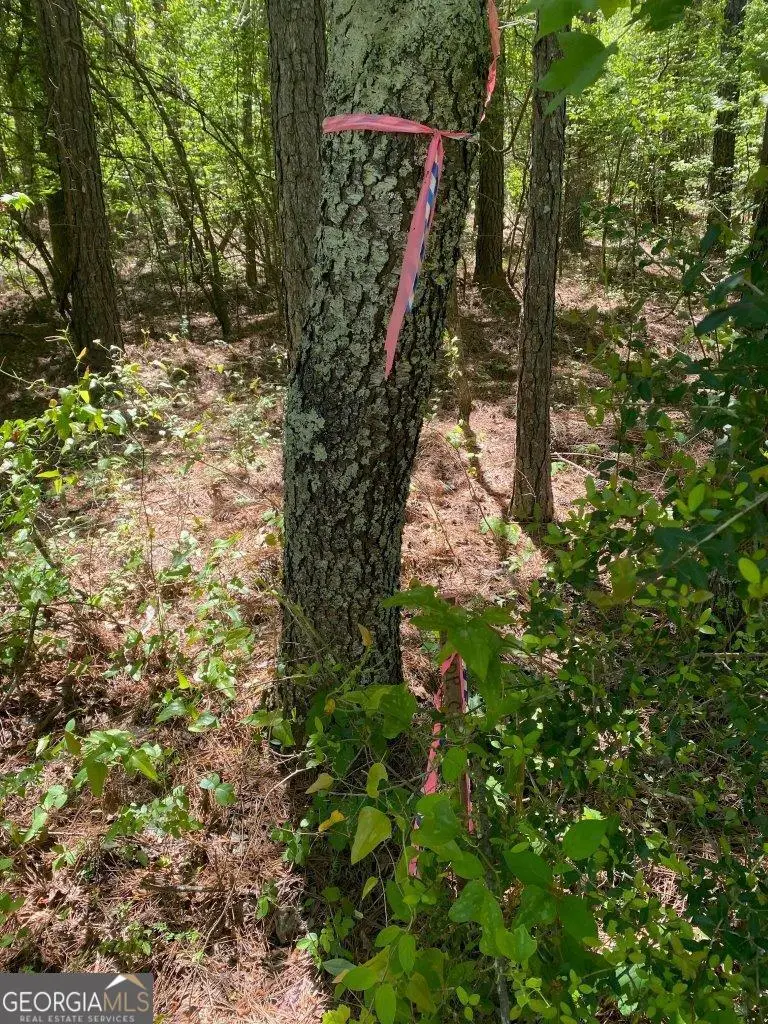 0 Maynards Mill Road, Forsyth, GA 31029 - #2