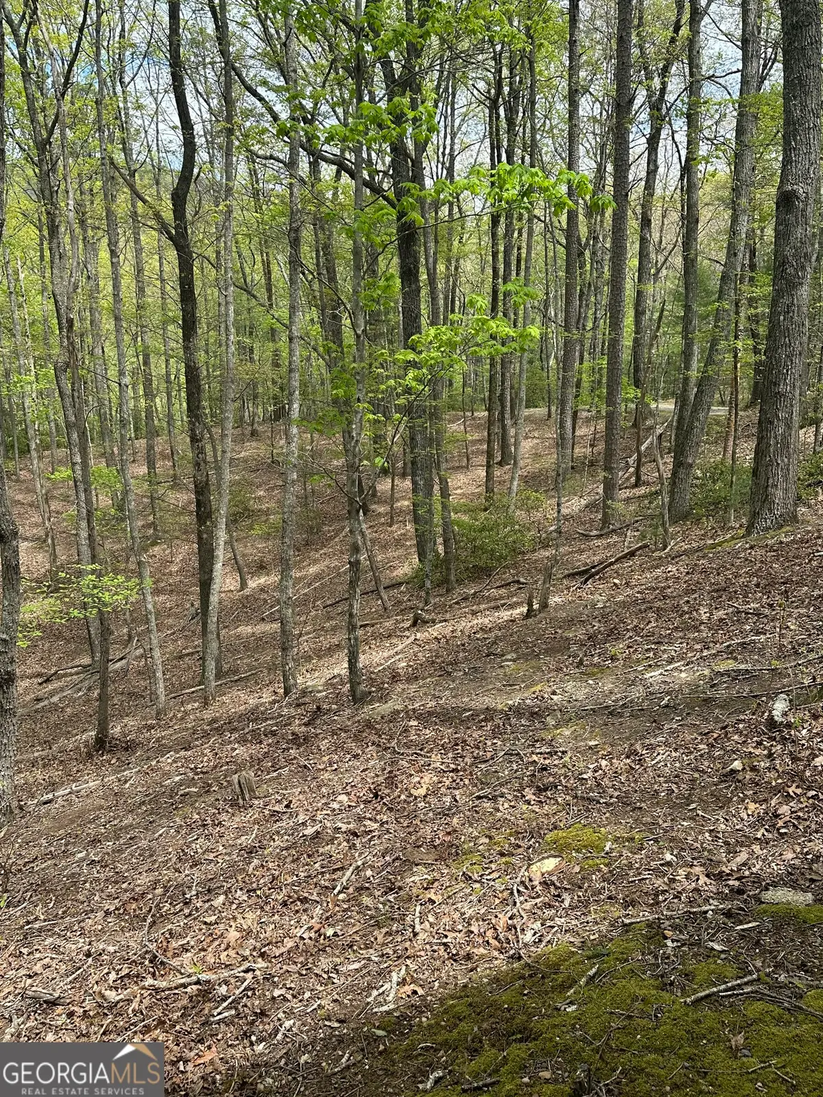LT B87 Laurel Lane, Ellijay, GA 30536 - #1