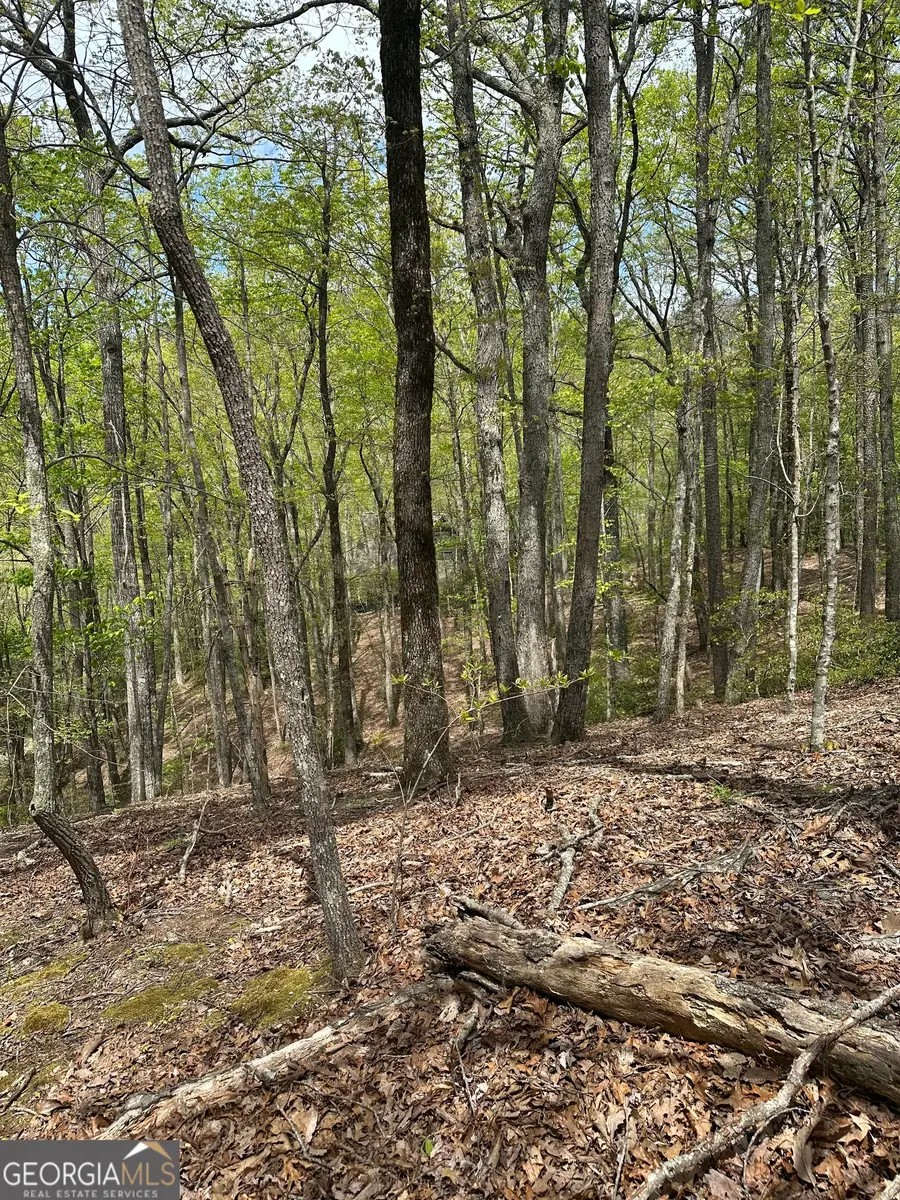 LT B87 Laurel Lane, Ellijay, GA 30536 - #2