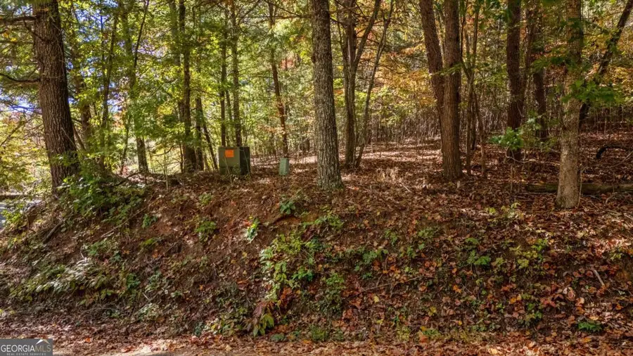 LOT 1 Twin Mountain Road, Hiawassee, GA 30546 - #3