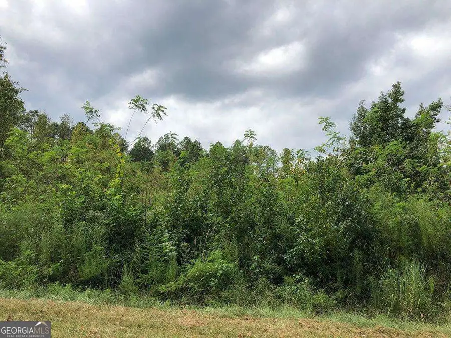 0 Lakewood Drive, Sparta, GA 31087 - #2