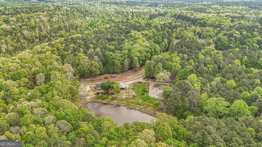 404 Tranquil Cemetary Road, Senoia, GA 30276 - #3