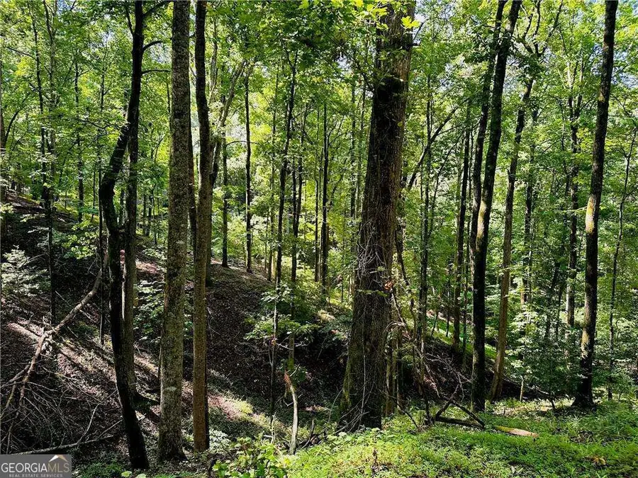 7.123 Acres Halls Mill Road, Dahlonega, GA 30533 - #2