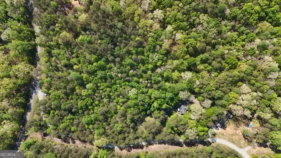 0 Holcomb North Drive, Martin, GA 30557 - #2