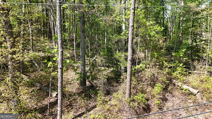 0 Holcomb North Drive, Martin, GA 30557 - #3