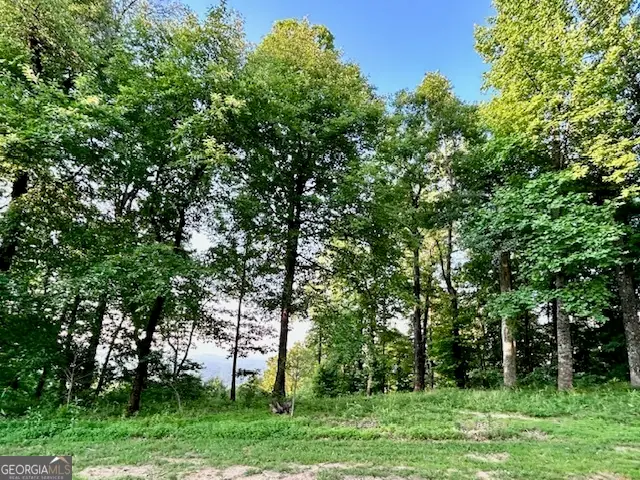 0 Mountainside Drive #LOT 17, Cleveland, GA 30528 - #2